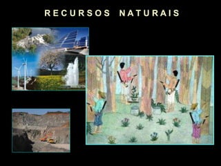 R E C U R S O S N A T U R A I S
 