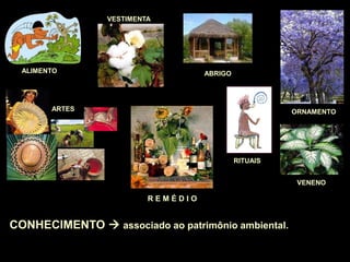 CONHECIMENTO  associado ao patrimônio ambiental.
ALIMENTO
VESTIMENTA
ABRIGO
RITUAIS
ARTES
VENENO
ORNAMENTO
R E M É D I O
entre outros...
 