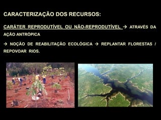 CARACTERIZAÇÃO DOS RECURSOS:
CARÁTER REPRODUTÍVEL OU NÃO-REPRODUTÍVEL  ATRAVÉS DA
AÇÃO ANTRÓPICA
 NOÇÃO DE REABILITAÇÃO ECOLÓGICA  REPLANTAR FLORESTAS /
REPOVOAR RIOS.
 