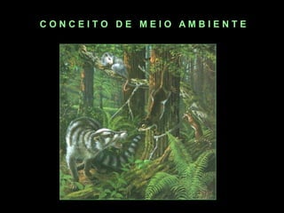 C O N C E I T O D E M E I O A M B I E N T E
 