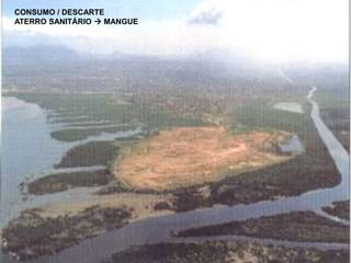 CONSUMO / DESCARTE
ATERRO SANITÁRIO  MANGUE
 