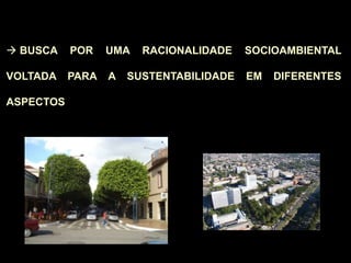  BUSCA POR UMA RACIONALIDADE SOCIOAMBIENTAL
VOLTADA PARA A SUSTENTABILIDADE EM DIFERENTES
ASPECTOS
 