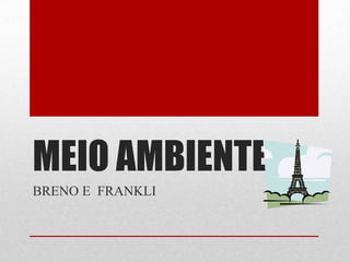 MEIO AMBIENTE
BRENO E FRANKLI
 
