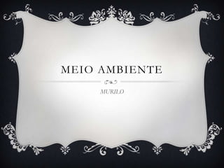 MEIO AMBIENTE
     MURILO
 