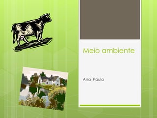 Meio ambiente


Ana Paula
 