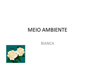 MEIO AMBIENTE

    BIANCA
 
