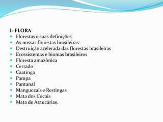 I- FLORA
 Florestas e suas definições
 As nossas florestas brasileiras
 Destruição acelerada das florestas brasileiras
 Ecossistemas e biomas brasileiros
 Floresta amazônica
 Cerrado
 Caatinga
 Pampa
 Pantanal
 Manguezais e Restingas
 Mata dos Cocais
 Mata de Araucárias.
 