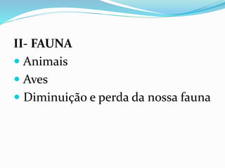 II- FAUNA
 Animais
 Aves
 Diminuição e perda da nossa fauna
 