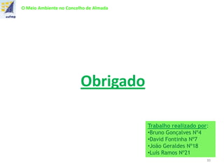 O Meio Ambiente no Concelho de Almada
Obrigado
30
Trabalho realizado por:
•Bruno Gonçalves Nº4
•David Fontinha Nº7
•João Geraldes Nº18
•Luís Ramos Nº21
 