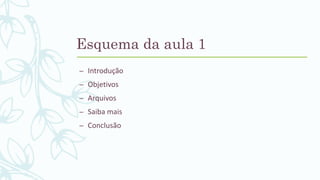 Esquema da aula 1
– Introdução
– Objetivos
– Arquivos
– Saiba mais
– Conclusão
 
