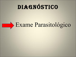DIAGNÓSTICO Exame Parasitológico 