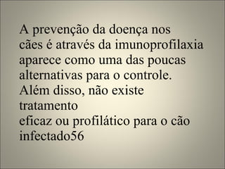 A prevenção da doença nos cães é através da imunoprofilaxia aparece como uma das poucas alternativas para o controle. Além disso, não existe tratamento eficaz ou profilático para o cão infectado56 
