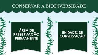 CONSERVAR A BIODIVERSIDADE
ÁREA DE
PRESERVAÇÃO
PERMANENTE
UNIDADES DE
CONSERVAÇÃO
 