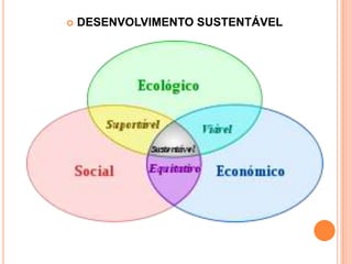 DESENVOLVIMENTO SUSTENTÁVEL