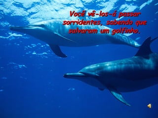Você vê-los-á passar sorridentes, sabendo que salvaram um golfinho. 