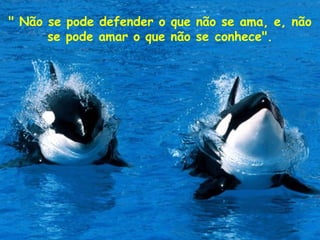 " Não se pode defender o que não se ama, e, não se pode amar o que não se conhece". 