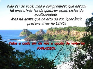 Não sei de você, mas o compromisso que assumi há anos atrás foi de quebrar esses ciclos de mediocridade.  Mas há gente que no alto da sua ignorância prefere viver no LIXO! Cabe a cada um de nós a opção de viver no PARAISO!. 