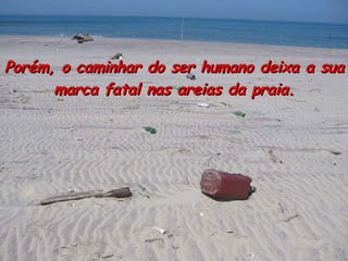 Porém, o caminhar do ser humano deixa a sua marca fatal nas areias da praia. 