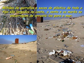 Milhões de garrafas e sacos de plástico de todo o tipo são largados na costa, o vento e as marés se encarregam de arrastá-los para o mar.   