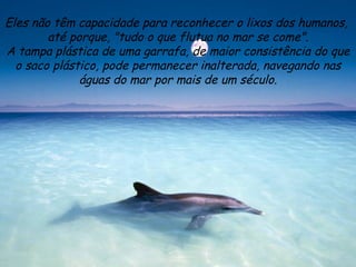 Eles não têm capacidade para reconhecer o lixos dos humanos,  até porque, "tudo o que flutua no mar se come". A tampa plástica de uma garrafa, de maior consistência do que o saco plástico, pode permanecer inalterada, navegando nas águas do mar por mais de um século. 