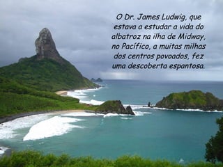 O Dr. James Ludwig, que estava a estudar a vida do albatroz na ilha de Midway, no Pacífico, a muitas milhas dos centros povoados, fez uma descoberta espantosa. 