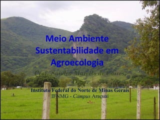 Meio Ambiente Sustentabilidade em Agroecologia Prof. Sandro Marcelo de Caires , D.Sc. Instituto Federal do Norte de Minas Gerais  IFNMG -  Campus  Araçuaí 