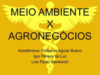 MEIO AMBIENTE
      X
AGRONEGÓCIOS
 Acadêmicos: Felipe de Aguiar Bueno
        Igor Pereira da Luz
       Luis Paulo Stankwich
 