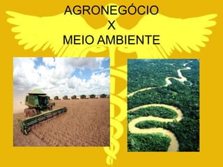 AGRONEGÓCIO
      X
MEIO AMBIENTE
 