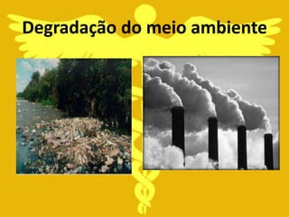 Degradação do meio ambiente
 
