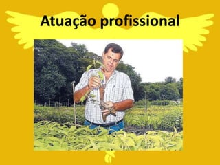 Atuação profissional
 
