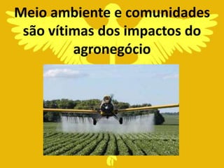 Meio ambiente e comunidades
 são vítimas dos impactos do
         agronegócio
 