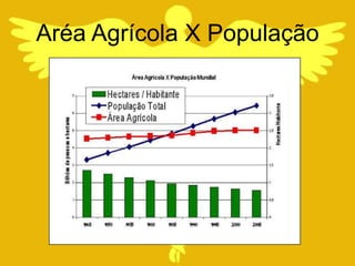 Aréa Agrícola X População
 