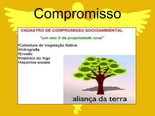Compromisso
 