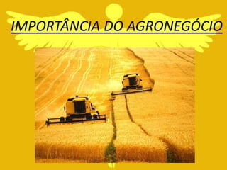 IMPORTÂNCIA DO AGRONEGÓCIO
 