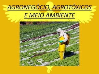 AGRONEGÓCIO, AGROTÓXICOS
    E MEIO AMBIENTE
 