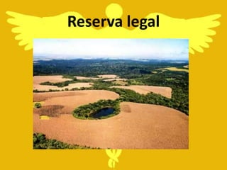 Reserva legal
 