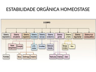 ESTABILIDADE ORGÂNICA HOMEOSTASE
 