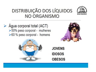 Meio Interno e Homeostase, curso de medicina