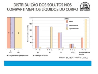 Meio Interno e Homeostase, curso de medicina