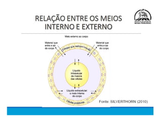 Meio Interno e Homeostase, curso de medicina
