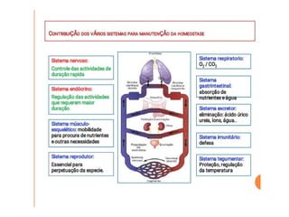 Meio Interno e Homeostase, curso de medicina