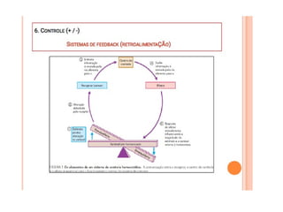 Meio Interno e Homeostase, curso de medicina