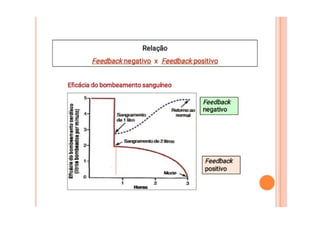 Meio Interno e Homeostase, curso de medicina