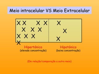 Meio intracelular VS Meio Extracelular Hipertónico (elevada concentração) Hipotónico (baixa concentração) (Em relação/comparação a outro meio) X X  X  X  X  X  X  X  X  X  X X X X 
