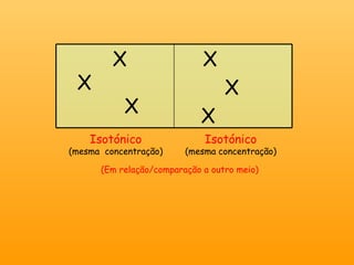 Isotónico (mesma  concentração) Isotónico (mesma concentração) (Em relação/comparação a outro meio) X X X X X X 