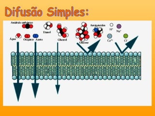 Difusão Simples: 