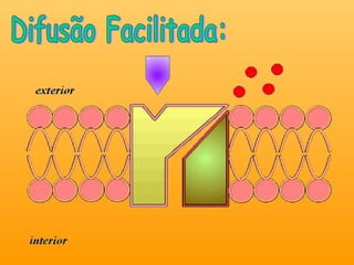 Difusão Facilitada: 