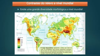  Existe uma grande diversidade morfológica a nível mundial
 