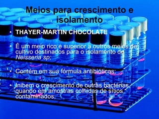 Meios para crescimento e isolamento THAYER-MARTIN CHOCOLATE É um meio rico e superior a outros meios de cultivo destinados para o isolamento de  Neisseria sp; Contém em sua fórmula antibióticos; Inibem o crescimento de outras bactérias, quando em amostras colhidas de sítios contaminados; 