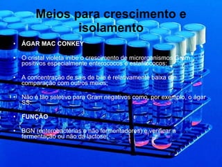 Meios para crescimento e isolamento ÁGAR MAC CONKEY O cristal violeta inibe o crescimento de microrganismos Gram positivos especialmente enterococos e estafilococos; A concentração de sais de bile é relativamente baixa em comparação com outros meios; Não é tão seletivo para Gram negativos como, por exemplo, o ágar SS; FUNÇÃO BGN (enterobactérias e não fermentadores) e verificar a fermentação ou não da lactose; 